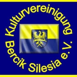 Radio Bercik