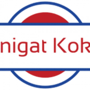 Yenigat Kokeb