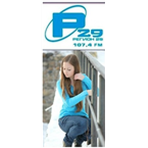 Регион 29