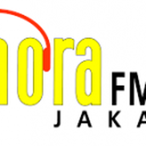 Sonora FM 92.0 FM - PM2FGJ