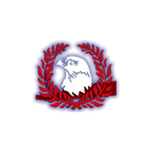 Falcon FM