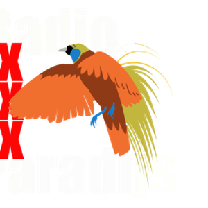 Radio Paradijs