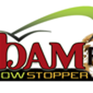 Inbam FM Radio