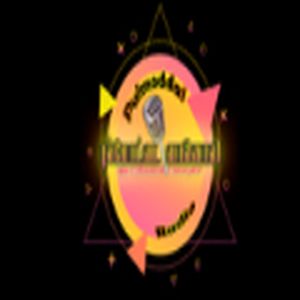Pulmoddai Radio